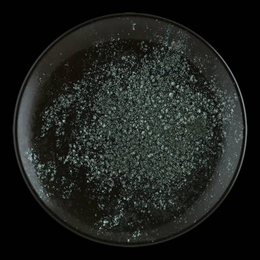 Чиния 27см - 1 брой - Bonna Cosmos